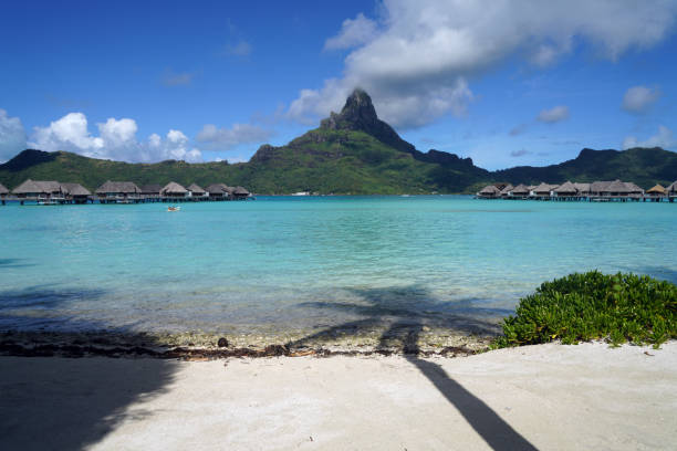 Young boy relaxing in the south pacific . Swimming backstroke in beautiful turquoise lagoon. Bora Bora island volcanic Mount Otemanu in the backgound. Bora Bora Island, Leeward Group of Society Islands, French Polynesia.