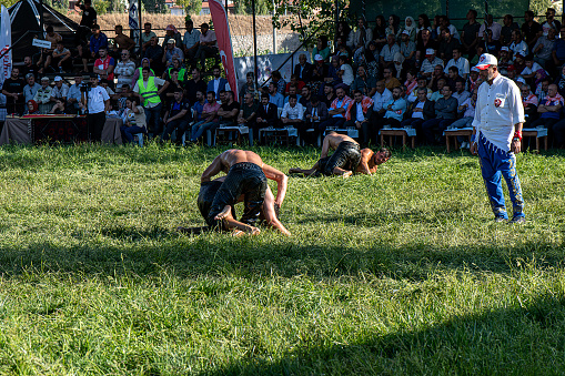 09.12.2023,Sindirgi Balikesir,Turkey,Oil wrestling held on grass is very competitive