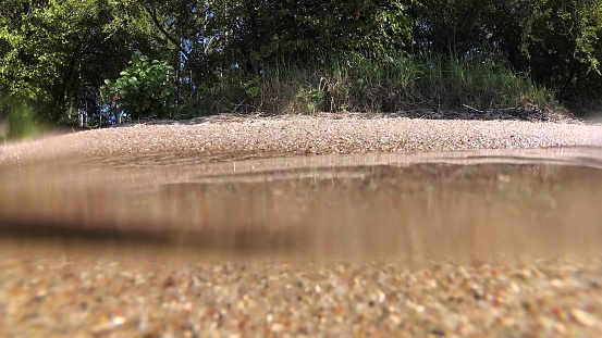 Underwater View or a Lake with Sandy Bottom and Seaweed