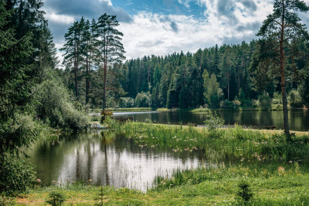 istock Beautiful forest lake in Russia. 1682066322
