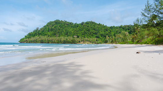 Ao Phrao Beach Koh Kood Island Thailand Trat, tropical beach with palm trees and a turqouse colored ocean on a sunny day, Ko Kut Island with coconut palm trees on the beach