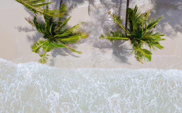 istock White beach Koh Kood Island Thailand Trat 1682116688