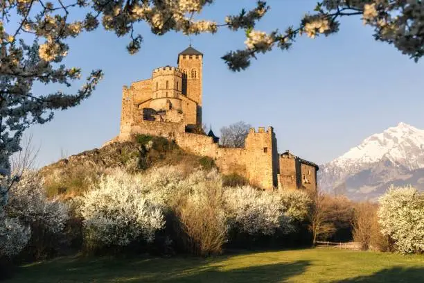 Landscape golden hour spring view on the Valere basilica, with a natural framing of flowered trees in Sion early in the morning, Wallis Switzerland