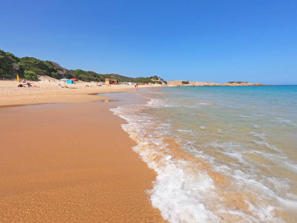 istock Sardinian beach Su Giudeu, Chia, Italy 1682151346
