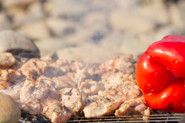 приготовления мяса курицы на решетке на мангале с болгарским перцем. Приготовление еды на углях.