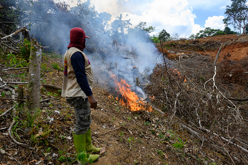 Men burn wood piles to clear land