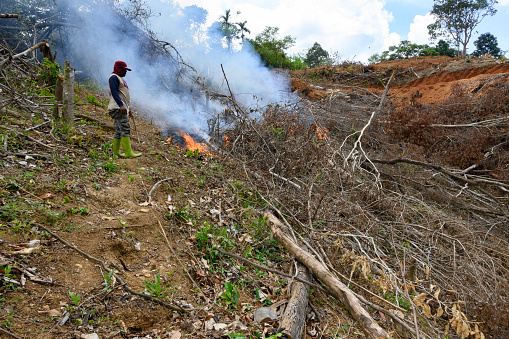 Men burn wood piles to clear land
