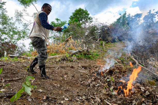 Men burn wood piles to clear land