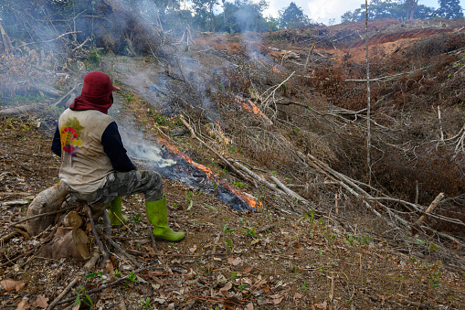 Men burn wood piles to clear land