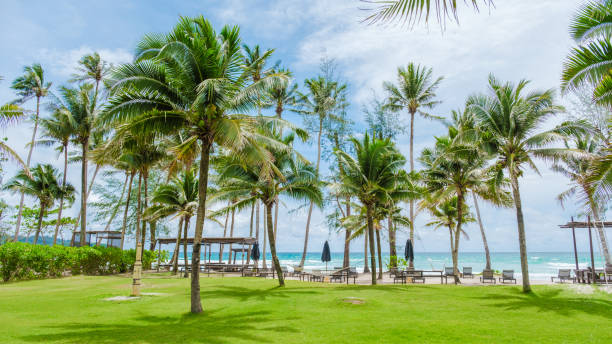 istock White beach Koh Kood Island Thailand Trat 1682196163