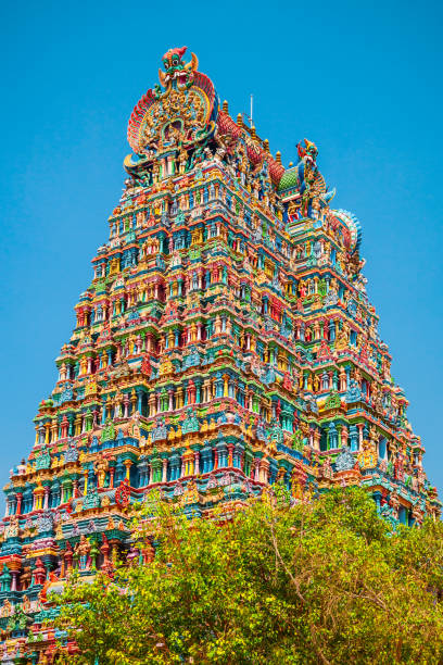 Meenakshi Amman Temple in Madurai Meenakshi Amman Temple is a historic hindu temple located in Madurai city in Tamil Nadu in India tamil temple stock pictures, royalty-free photos & images