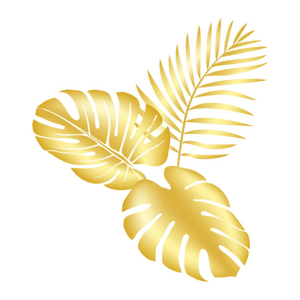 istock Elegant illustration of lush, exotic palm foliage 1682215066