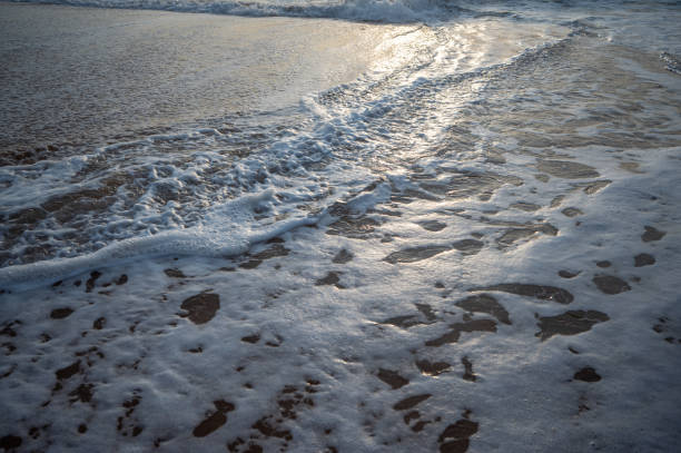 istock Soft wave of the sea on the sandy beach 1682215232