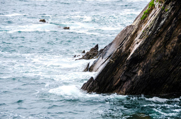 landscape of Blasket Island, and island near Dingle in Dingle peninsula. Cliffs, atlantic ocean and beautiful green vegetation