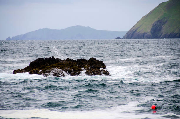 landscape of Blasket Island, and island near Dingle in Dingle peninsula. Cliffs, atlantic ocean and beautiful green vegetation