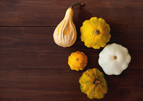 Healthy food from vegetables. Autumn harvest of pumpkins on wooden board. copy space