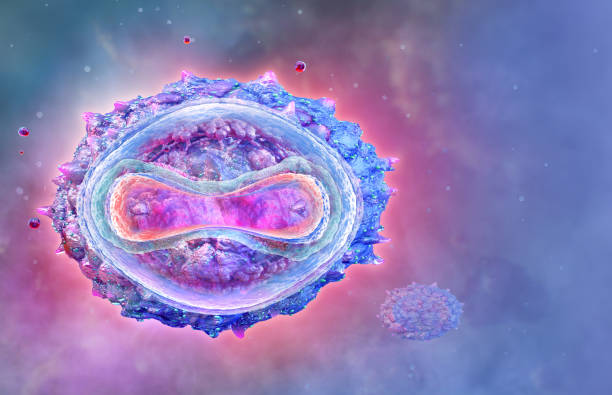 istock Monkeypox virus cell 3D structure. Monkeypox is a zoonotic, animal to human virus disease 1682240029