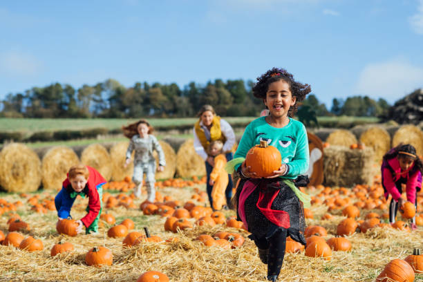 raccolta di patch di zucca - pumpkin child little girls pumpkin patch foto e immagini stock