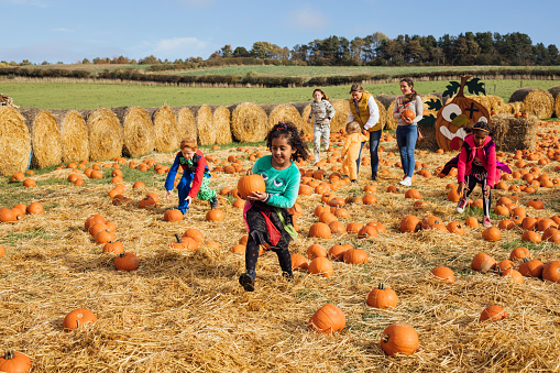 Wide view of two mothers with their children picking pumpkins for Halloween at a pumpkin patch field in Newcastle, England on a nice day in October. The kids are dressed up in Halloween outfits.