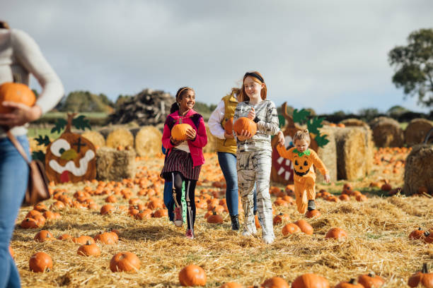 istock Loved Ones Collecting Pumpkins 1682251007