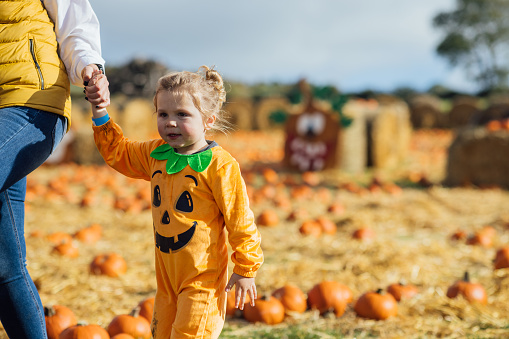 Three quarter length of a young boy with his unrecognisable mother picking pumpkins for Halloween at a pumpkin patch field in Newcastle, England on a nice day in October. They are walking and holding hands and the young boy is dressed up in a Halloween outfit.