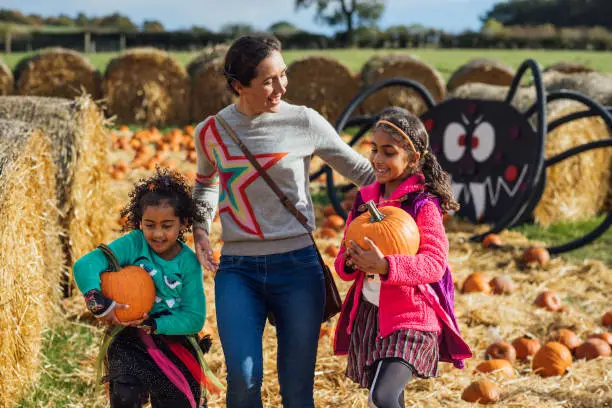 Photo of Family Fun at the Pumpkin Fields