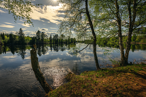 Beautiful sunny view in spring time from a riverbank along the Dal river in Sweden