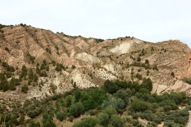 istock Desert mountains with green trees in Andalucia 1682278197
