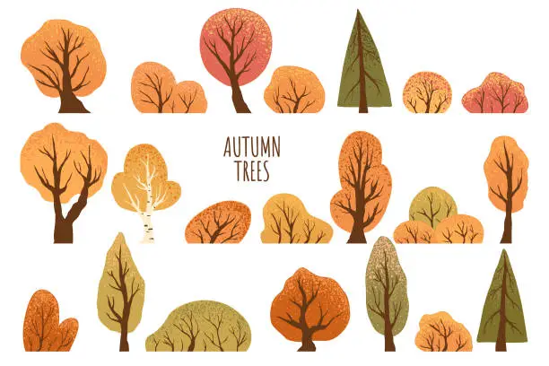 Vector illustration of Set of yellow autumn trees and bushes. Maple, birch, oak, aspen, fir-tree and shrubs. Isolated on white background. Hand drawn vector park autumn tree. Fall vector illustration