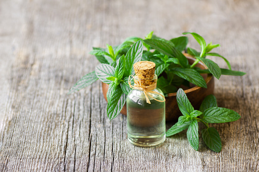 Glass bottle of peppermint essential oil with fresh green mint leaves on rustic background