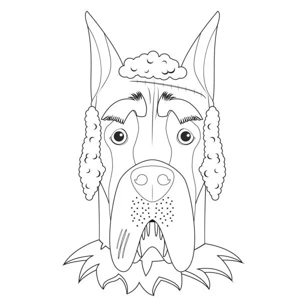 Vector illustration of Halloween greeting card for coloring. Great Dane dog dressed as a werewolf