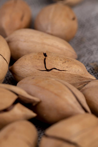 istock Unpeeled crunchy pecans close up 1682357364