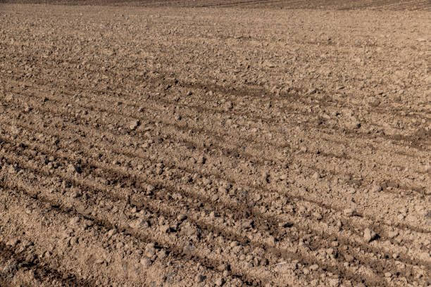 istock the plowed soil during preparation for sowing agricultural plants 1682361907