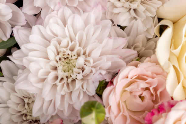 istock a bouquet with different types of flowers in close-up 1682363232