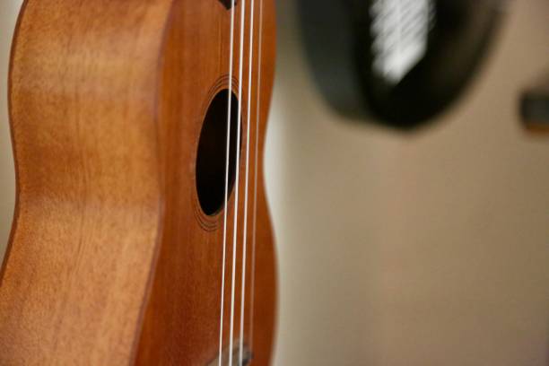 istock Close-up of Ukulele 1682378602