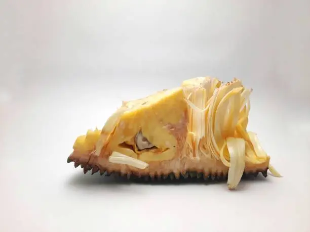 Photo of Jackfruit slices with isolated on white background