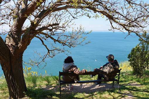 Man and woman on a bench under a tree on a high seashore, rear view