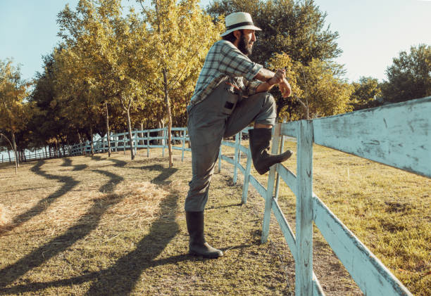 istock a farmer feeds sheep on his farm 1682416132