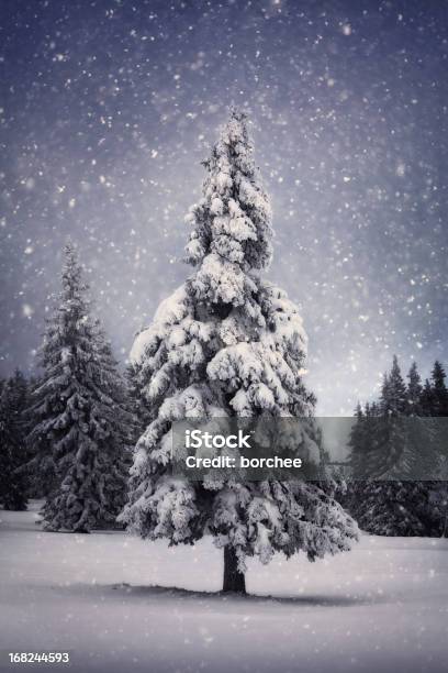 Winter Baum Stockfoto und mehr Bilder von Weihnachten - Weihnachten, Baum, Landschaft