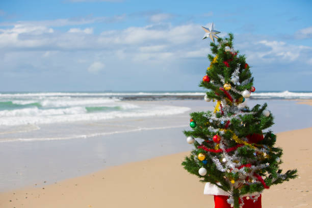 istock Santa Claus at the Beach with a Christmas Tree 168246360