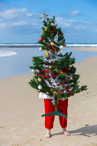 istock Santa Claus at the Beach with a Christmas Tree 168246365