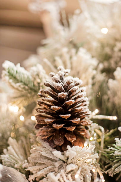 istock New Year's cone on a Christmas tree covered with snow. Christmas mood 1682464606