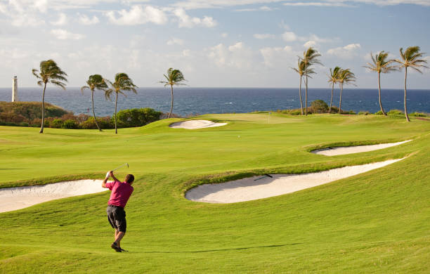 istock Senior Male Golfer on Tropical Golf Course in Hawaii 168247238