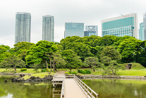 In Tokyo, Japan the Edo style park, Hamarikyu Gardens is located in the Chuo Ward and provides a green space in the city along the Sumida River estuary, which fills the ponds with seawater.
