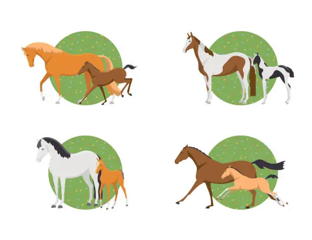 Vector illustration of Set isolated mares and foals. Vector collection cute animals