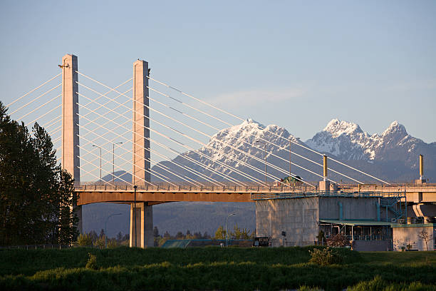 New Golden Ears Bridge With Snowcapped Mountains Evening shot of bridge with Golden Ears Mountain Peaks and Provincial Park in background. The Golden Ears Bridge is a new toll bridge that links Pitt Meadows And Maple Ridge British Columbia to Langley,Surrey and beyond.  There is an electronic tolling system that allows drivers to pay without stopping. The bridge crosses the Fraser River. *Golden Ears is one of the largest Provencial Parks in British Columbia  surrey british columbia stock pictures, royalty-free photos & images