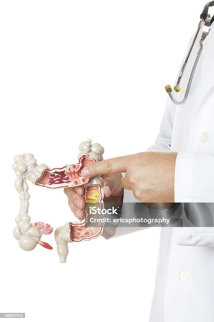 Gastroenterólogo sobre fondo blanco - Foto de stock de Anatomía libre de derechos