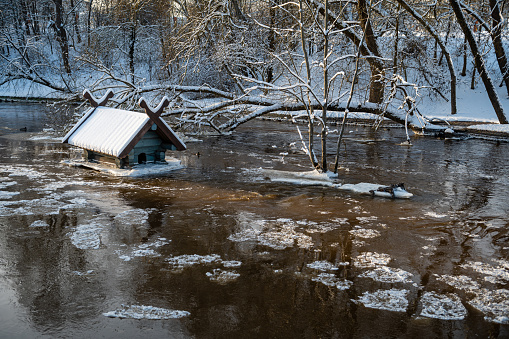 spring floods and ice melt in a small river, waterfowl feeder flooded as water level rises, Latvia