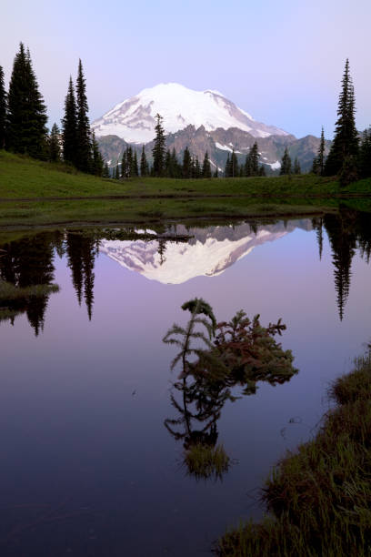 istock Mt. Rainier and Tipsoo Lake 168252484