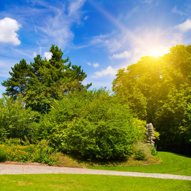 istock Summer garden with flowerbeds ,lawns and bright sun. 1682571943